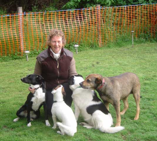 Isobel and Dogs